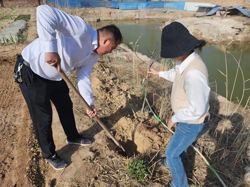 “春播添新綠，不負好春光”-城建新型材料公司黨支部開展主體黨日活動